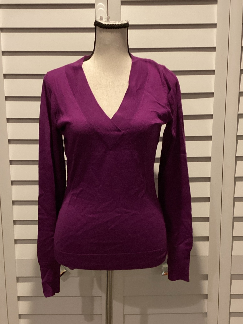 The Limited Pre Owned Purple V-Neck Long Sleeve Sweater.